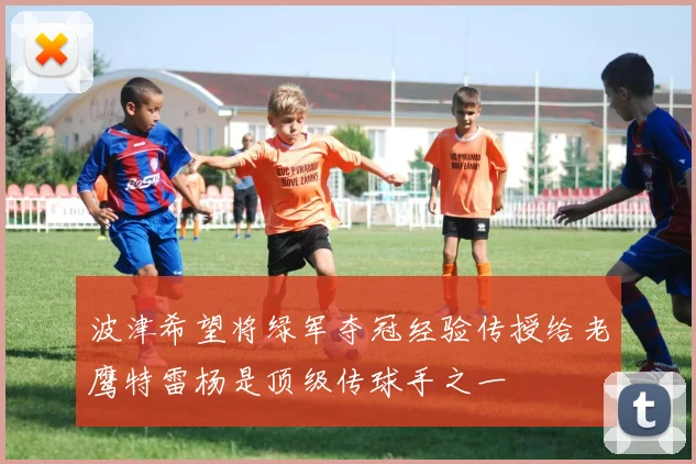 波津希望将绿军夺冠经验传授给老鹰特雷杨是顶级传球手之一