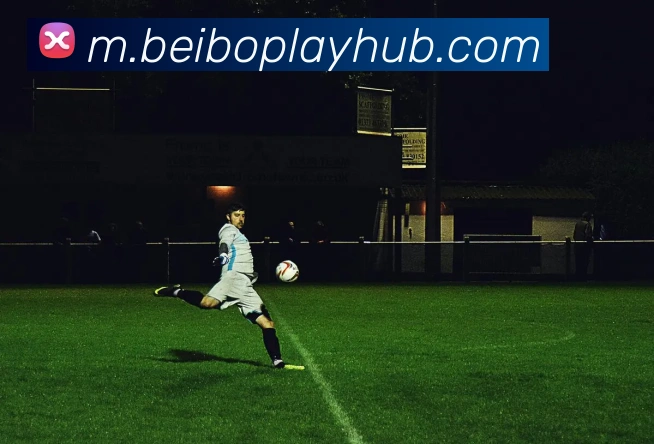 多媒体互动体验