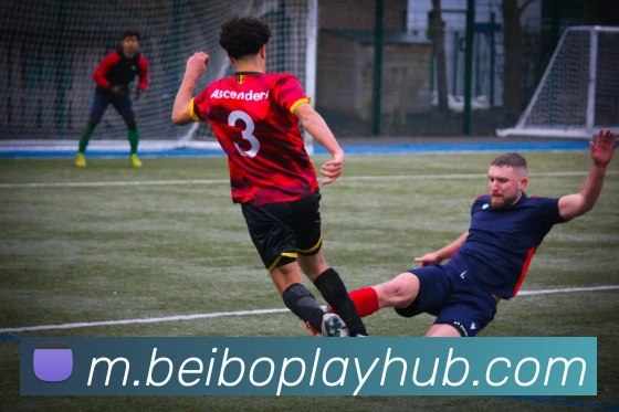 贝博体育APP 高清赛事图